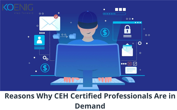 7 Reasons Why CEH Certified Professionals Are in Demand?