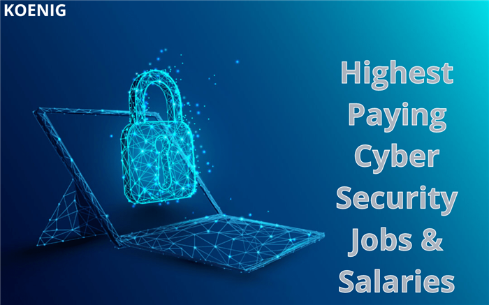Highest Paying Cyber Security Jobs & Salaries