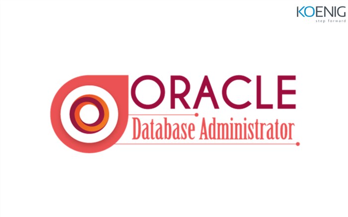 The Ultimate Guide on how to Become a Database Administrator