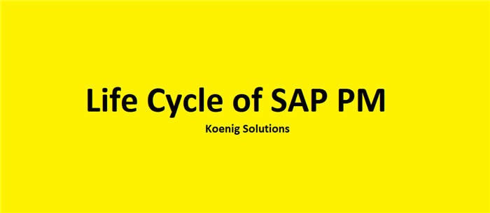 Life Cycle of SAP PM