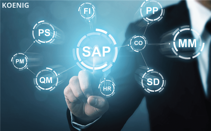 Understanding SAP Modules: SAP FI, SAP CO, SAP SD, SAP HCM, and more