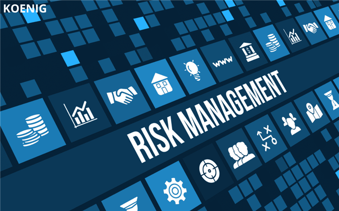 Five Steps of Risk Management Process