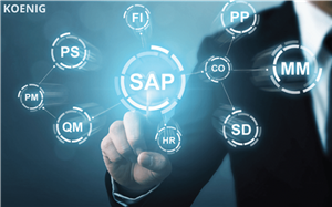 What is SAP or What does SAP stand for - Michael Management